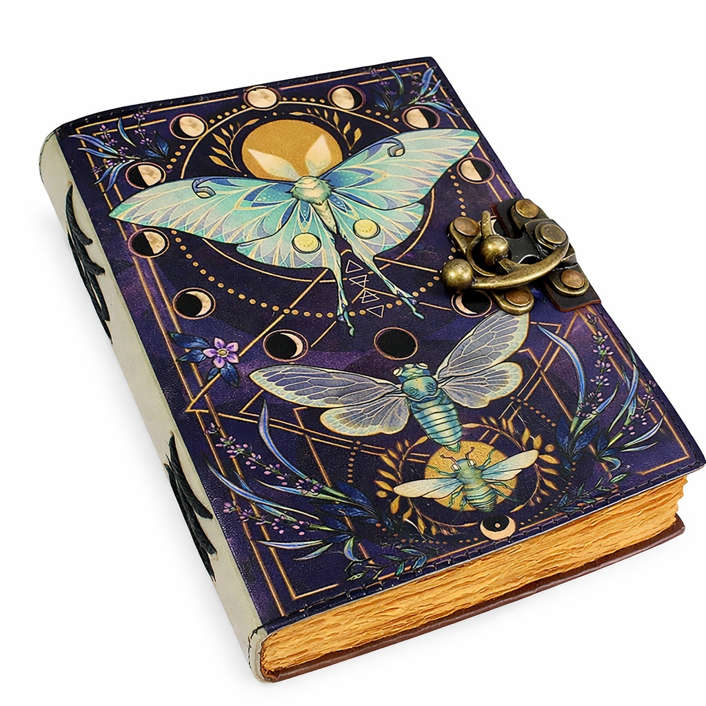 butterfly-01