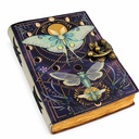 butterfly-01