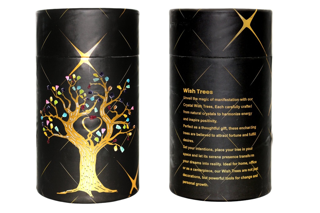 0_Packaging_60_Dome-scaled