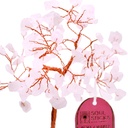 32186-2