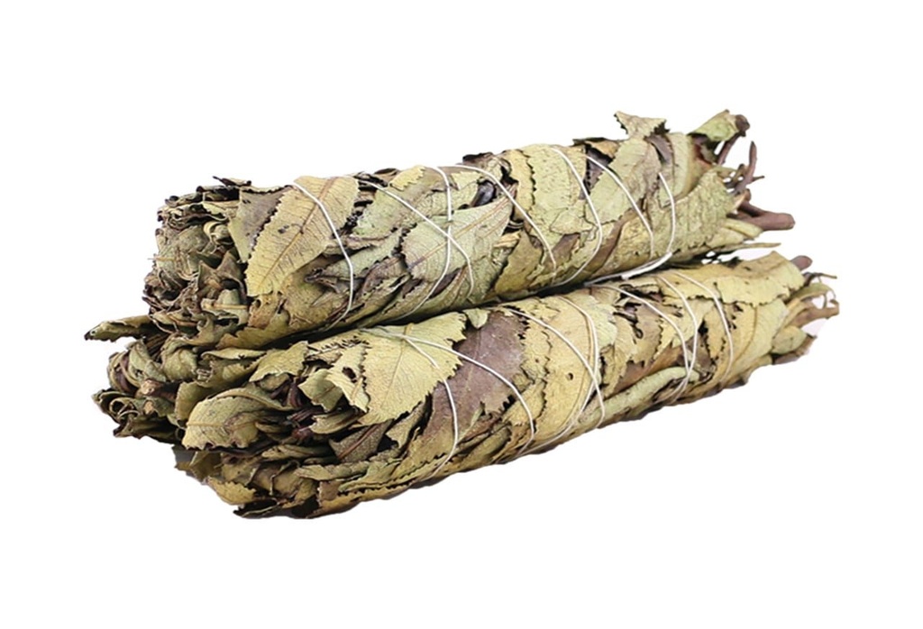 51295252520yerba252520santa252520922__94751.1646820682.1280.1280