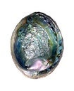 51305252520abalone252520shell2525207__12112.1646819146.1280.1280