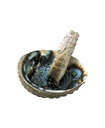 abalone252520with252520shell252520view__35302.1646819147.1280.12