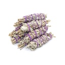 Mini-White-Sage-10