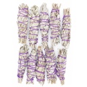 mini-white-sage-12