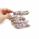 mini-white-sage-4