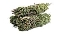 57415252520juniper252520sage252520422_thumbnail__46412.164681918