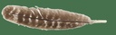 57440__79541.1646820840.1280.1280