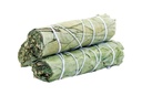 91348252520eucalyptus252520422__61034.1646820706.1280.1280