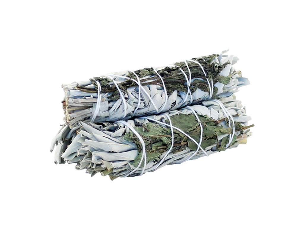 91361252520white252520sage252520252520peppermint252520422__86960