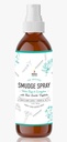 WS252520252520Eucalyptus252520Mockup__23035.1646858446.1280.1280
