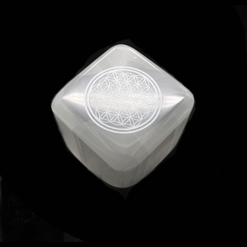 941641__33014.1673395262.1280.1280