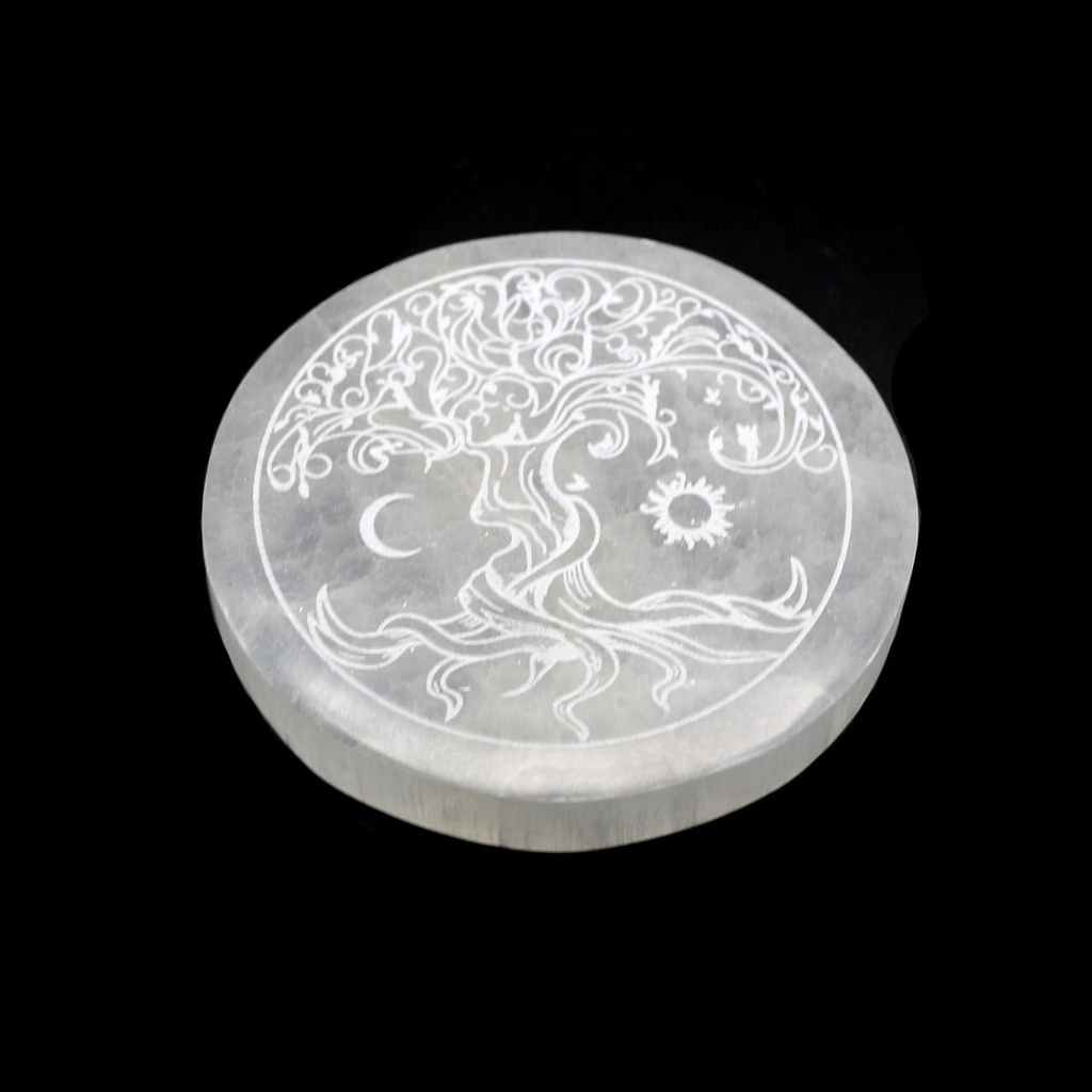 TreePlate3__78521.1680644166.1280.1280