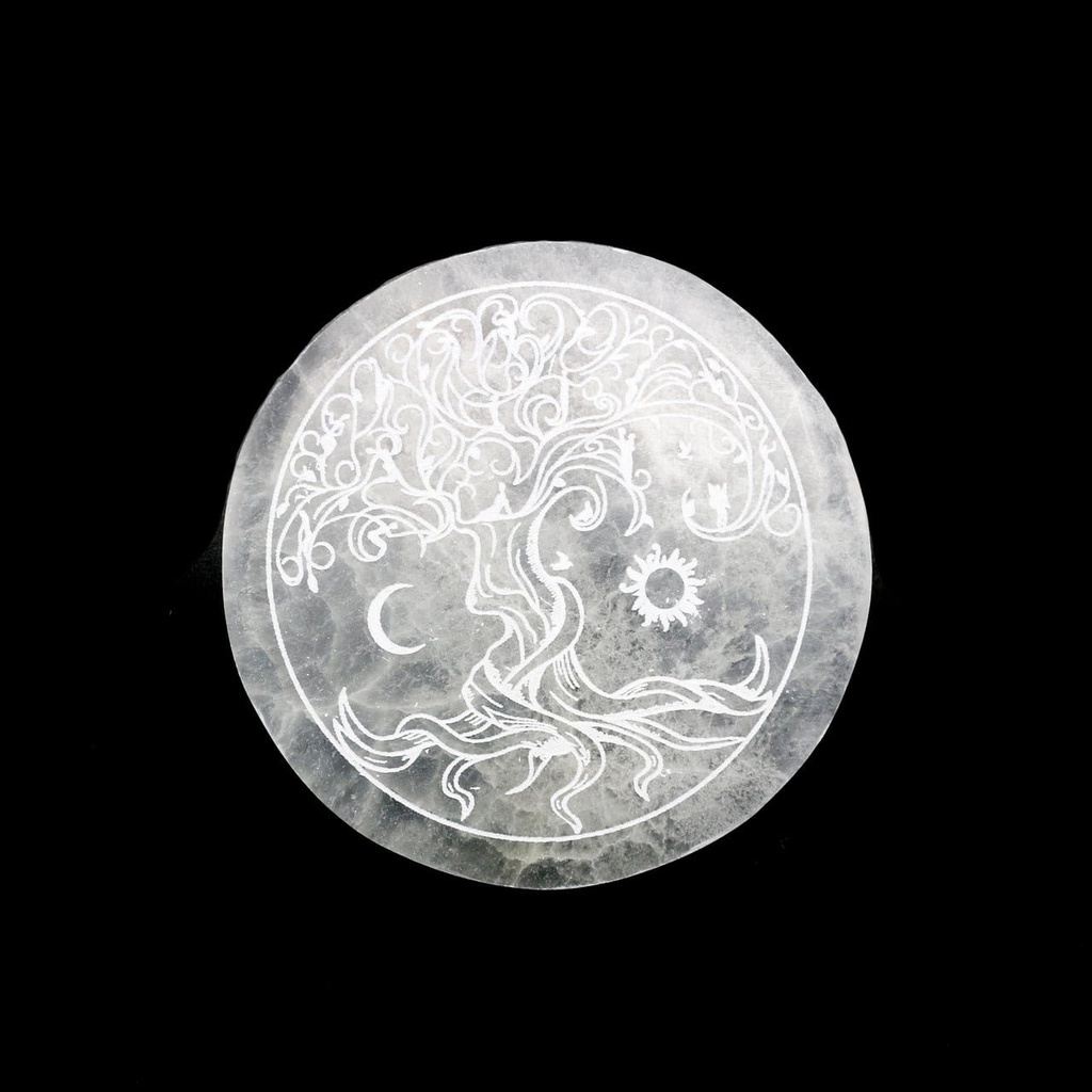 TreePlate1__18754.1680644166.1280.1280