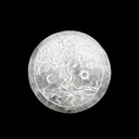 TreePlate1__18754.1680644166.1280.1280