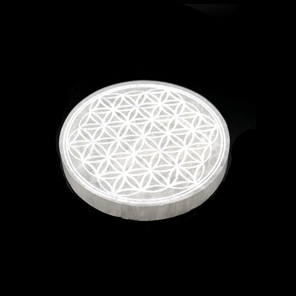 FlowerofLifePlate2__21404.1678984545.1280.1280