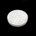 FlowerofLifePlate2__21404.1678984545.1280.1280