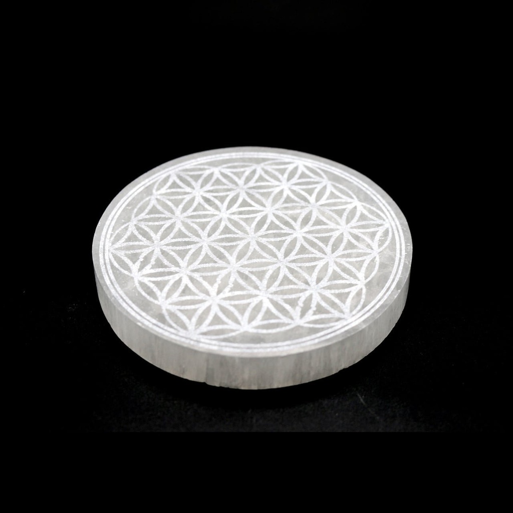 FlowerofLifePlate1__48832.1678984545.1280.1280