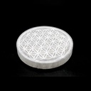 FlowerofLifePlate1__48832.1678984545.1280.1280