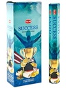 SUCCESS__73220.1646818996.1280.1280