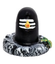 10168-scaled