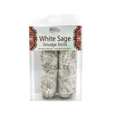 White_Sage_Front__78215.1675971788.1280.1280
