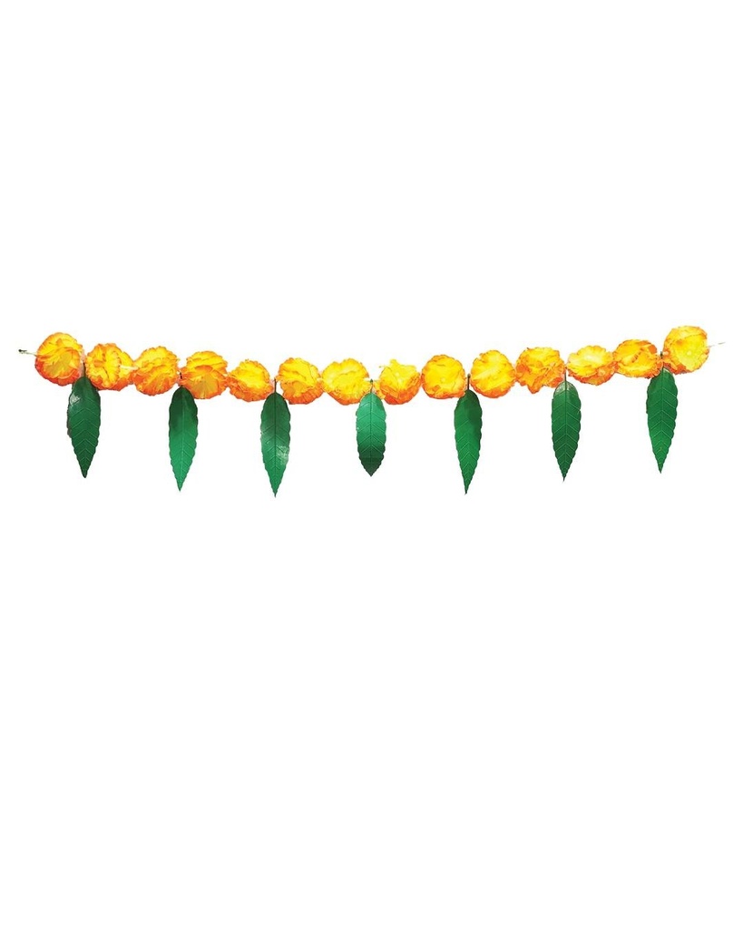 NT5NUSgT4Lyp6gMtXn-