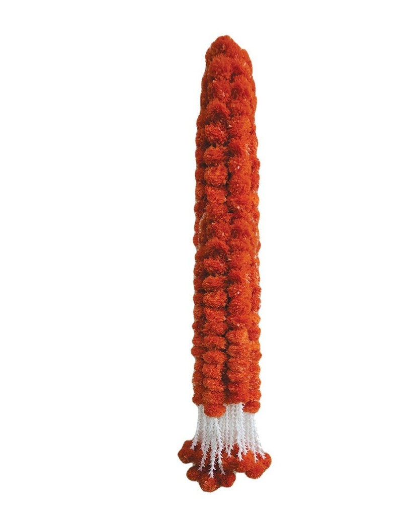 NT5NUSikRHbLkKZKtxx-1