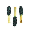 Dipped Aqua Blossom Palo Santo Pops