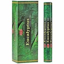 HEM Eucalyptus Hexa Incense Sticks – 6-Pack Box