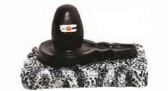Shivling (3.25")