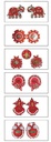 FESTIVE COLLECTION KIT ( PACK OF 6 )