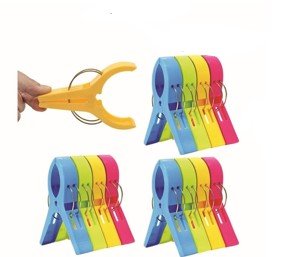 Plastic Clothes Clip (12 Pack)