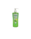 Himalaya Neem Face Wash (200 ml)