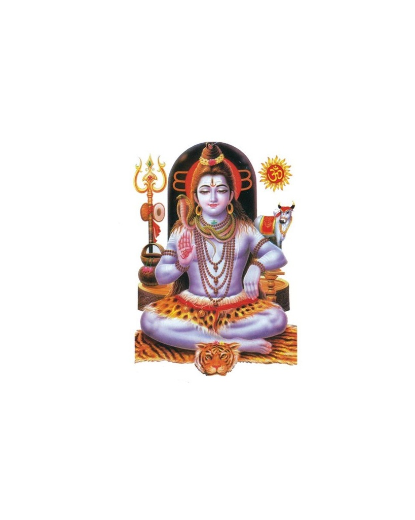 Shiva (5”) Pack of 10