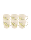 Cello Cup Set of 6