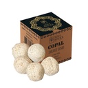 Copal Smudge Bombs w/ Burner – Pack of 5