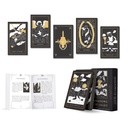 Shadows of Light Tarot Card Deck